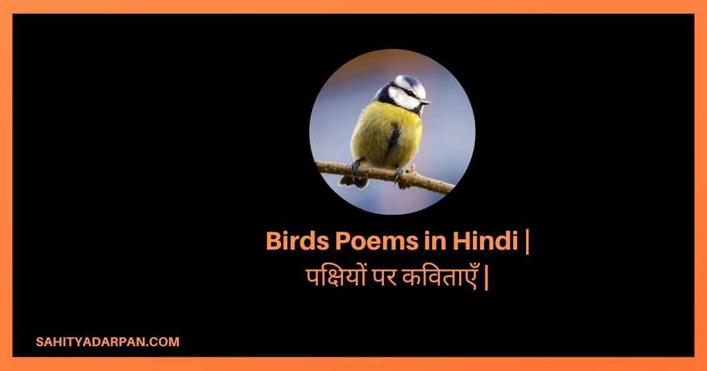 Top 10+ Birds Poems in Hindi | पक्षियों पर कविताएँ | पंछी पर कविता